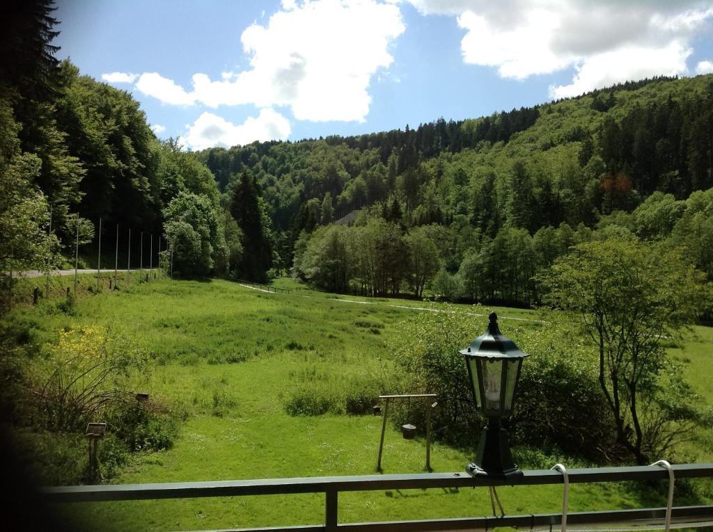 Hotel-Pension Zum Paradies Вилинген Екстериор снимка